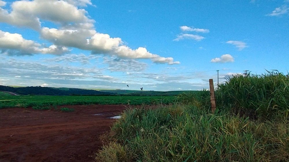 Photo #11223545