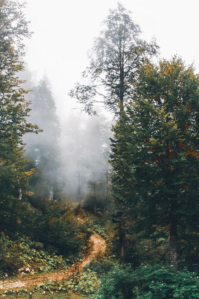 Photograph by Андрей Серый