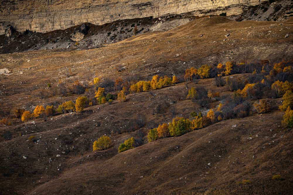 Photograph by Яна Каменская