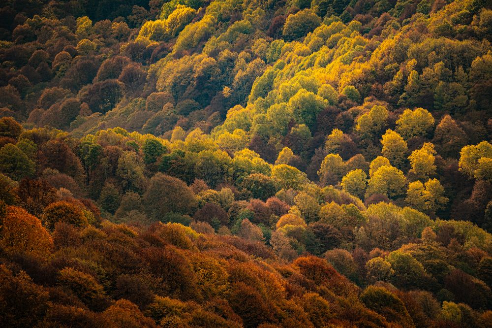 Photograph by Яна Каменская