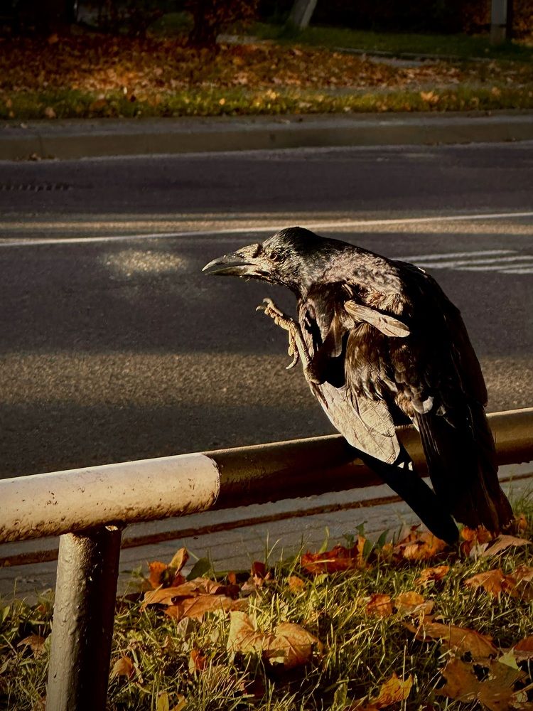 Photograph by Наумова Татьяна