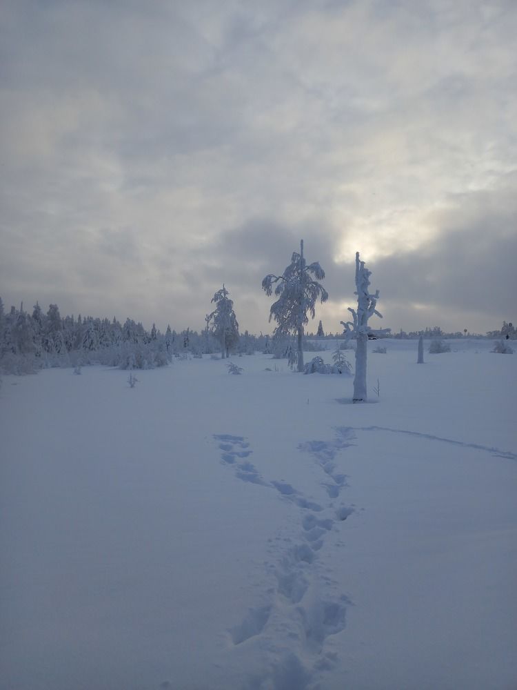 Фотография автора Сергей Шевырин