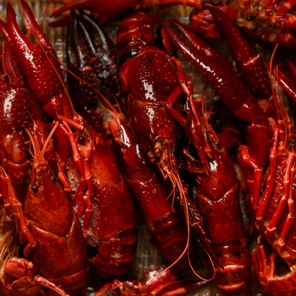 Photograph by OLGA BELYSHEVA