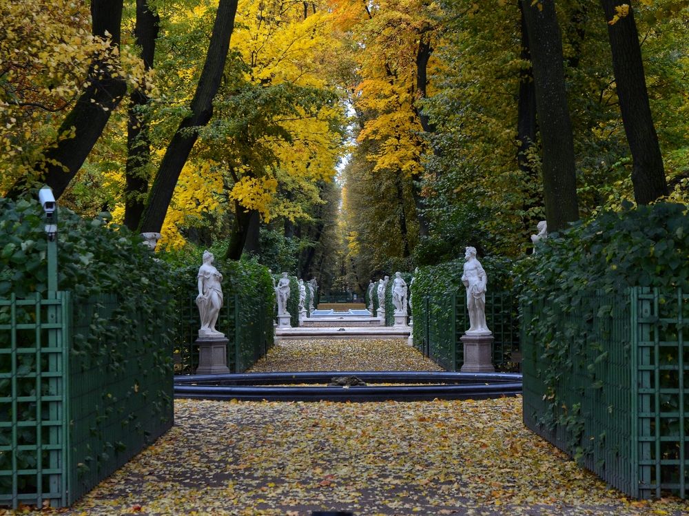 Летний сад в выходной день