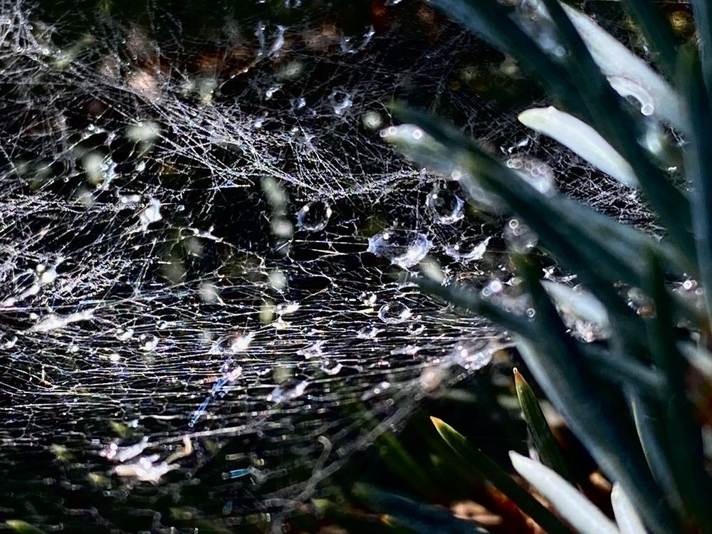 Photograph by Ольга Шабалина