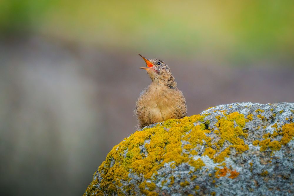 Photograph by Труханов Илья