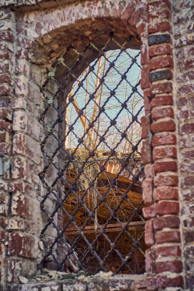 Фотография автора Александр Жданов