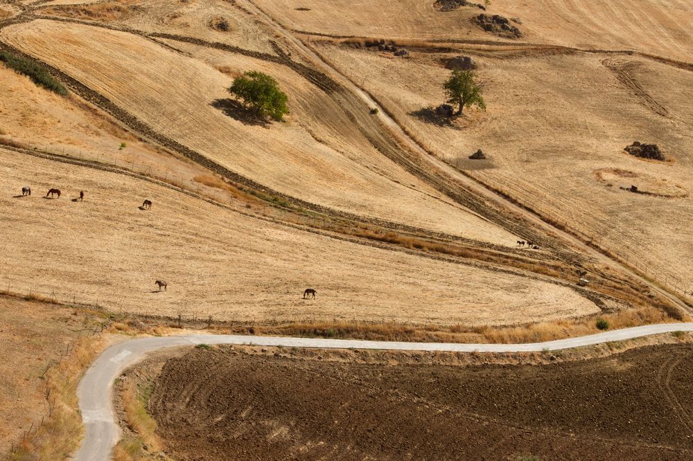 Фотография автора Оксана Мерзликина