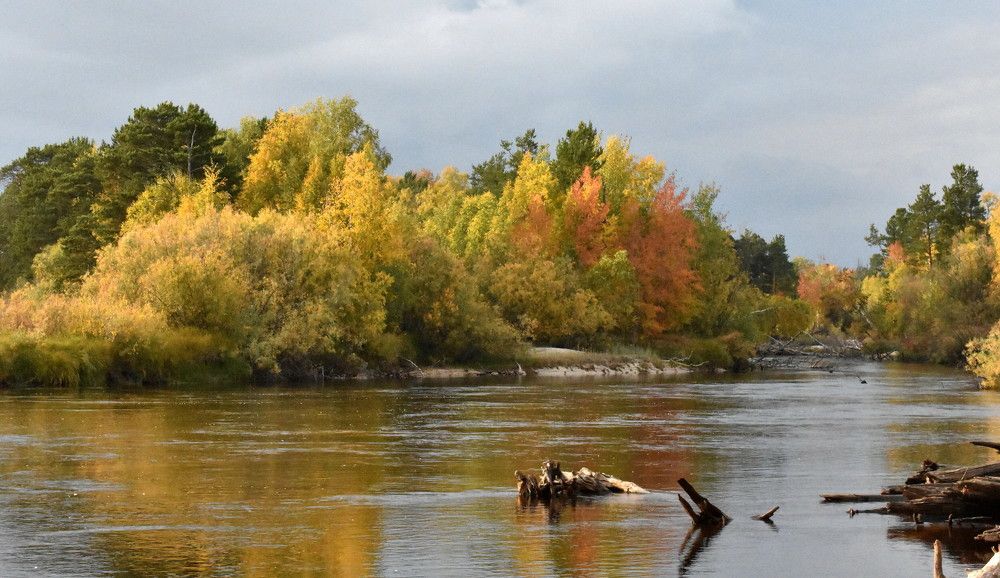 Золотая осень в Сургутском районе.