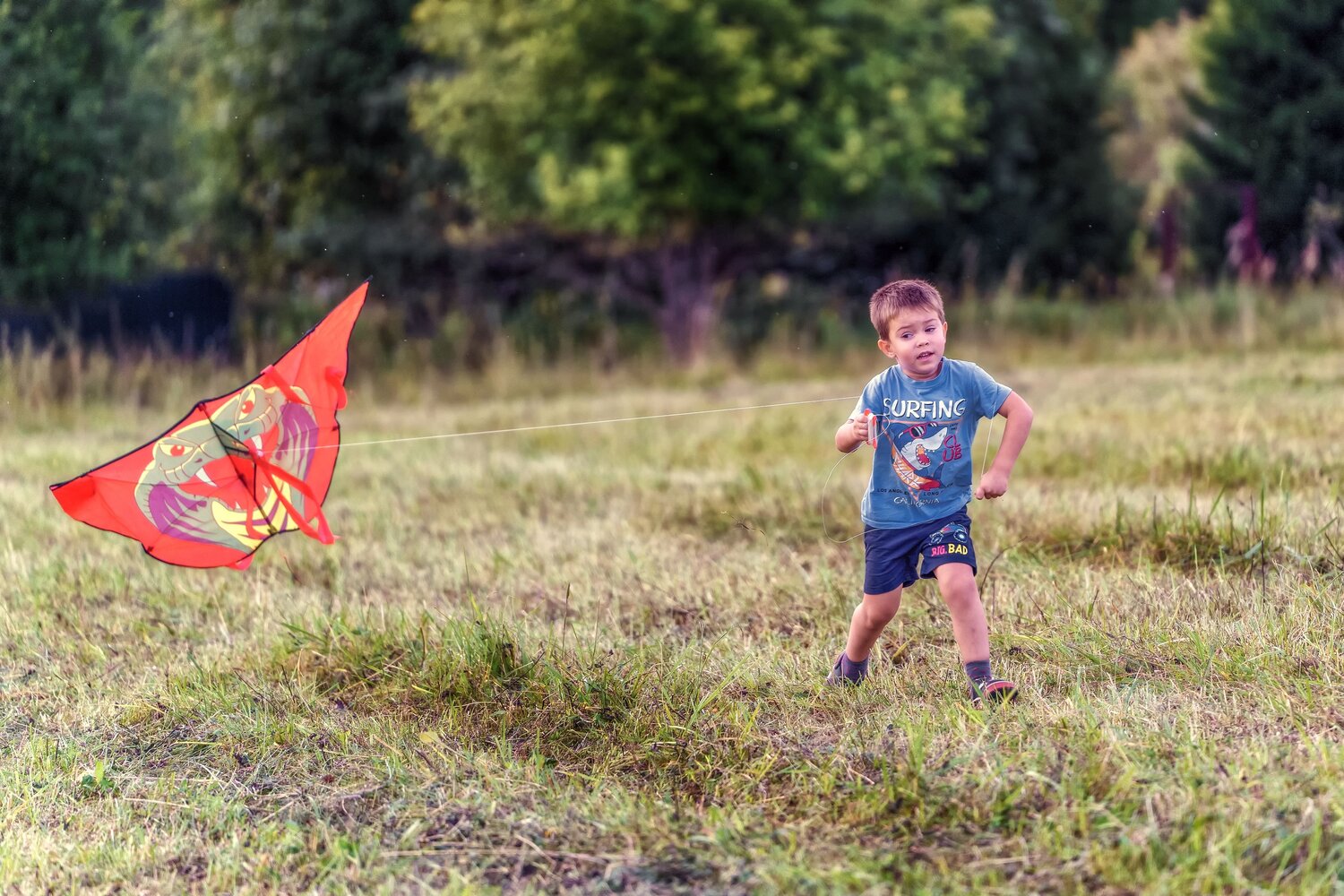Photo #11223597