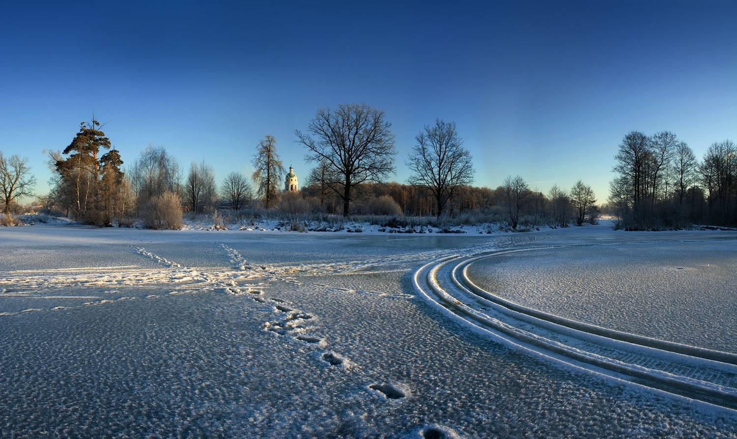 Photo #11223601
