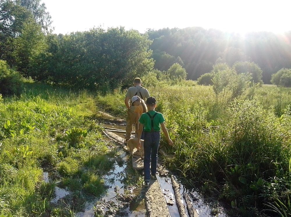 Photograph by Татьяна Кунц