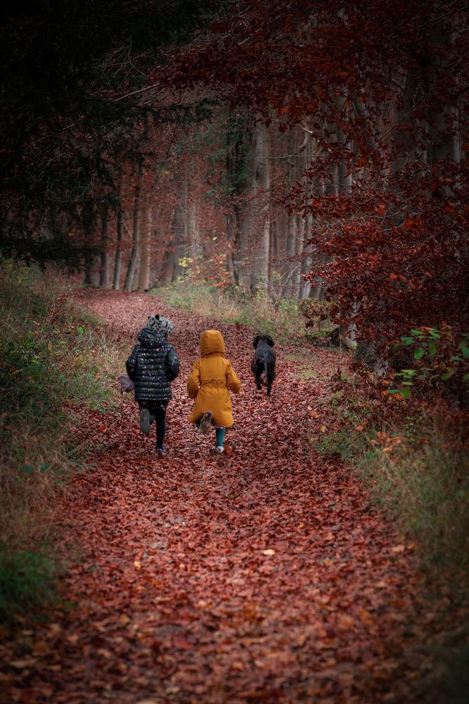 Фотография автора Оксана Мерзликина