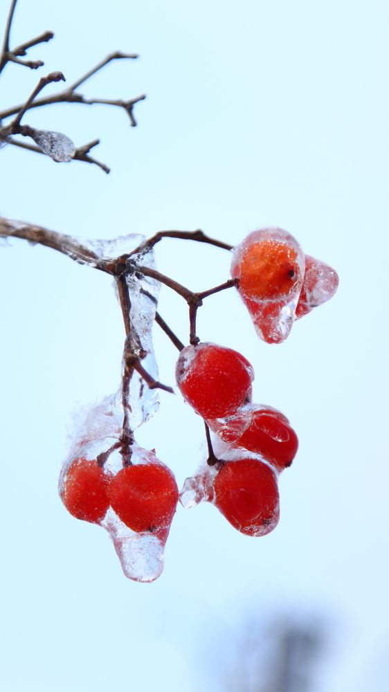 Фотография автора Михаил Кротков