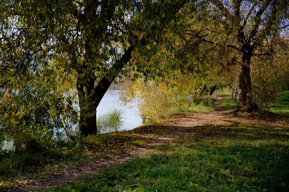 Photograph by Владимир Говоров
