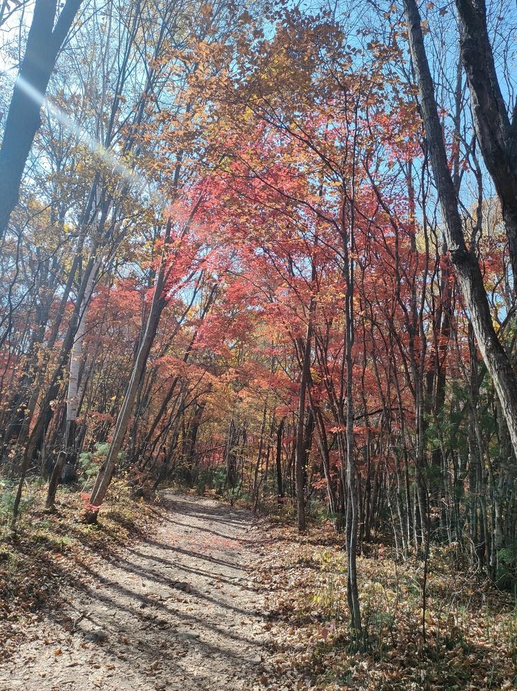 Photograph by Елена Егорова