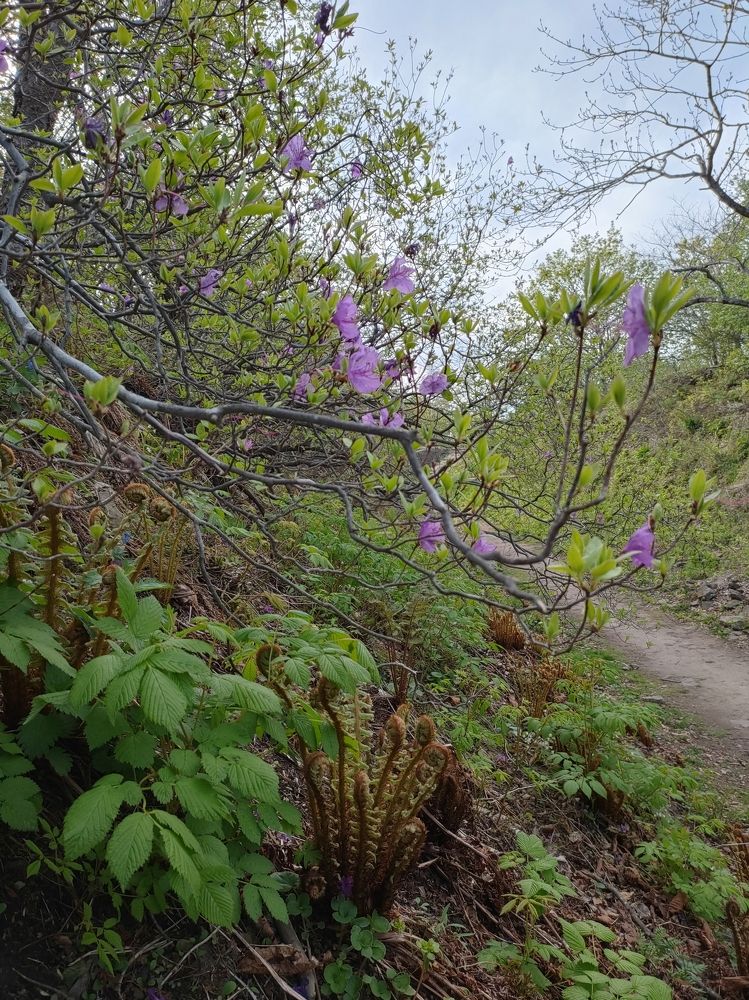 Photograph by Елена Егорова