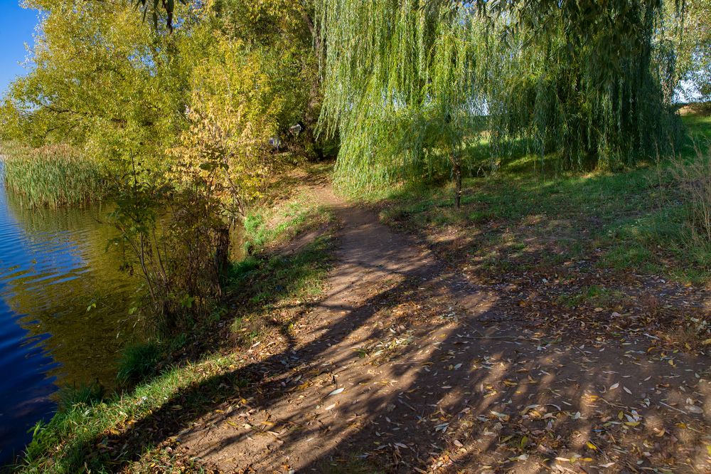 Photograph by Владимир Говоров