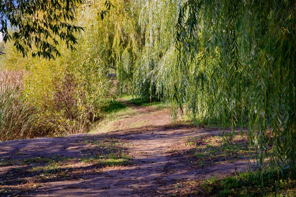 Photograph by Владимир Говоров