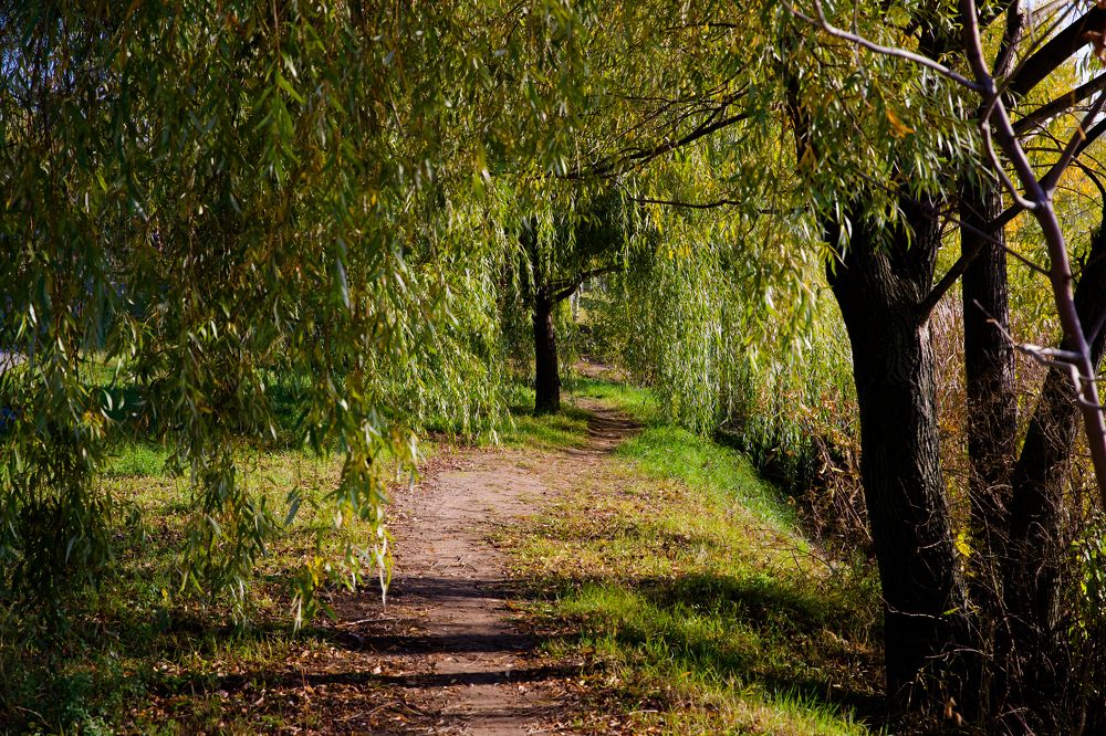 Photograph by Владимир Говоров