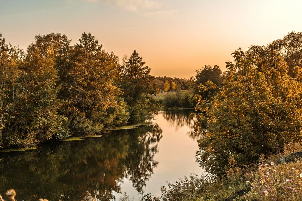 Photograph by Людмила Прибылова