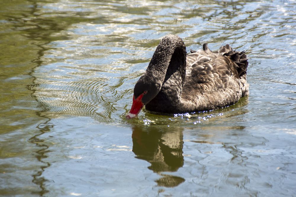 Photograph by Наталья Коржова