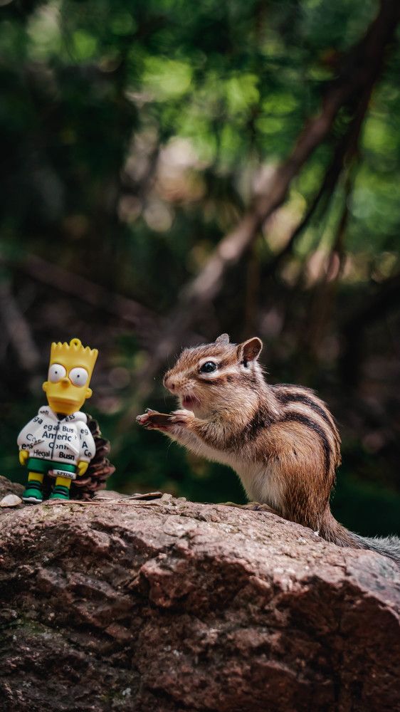 Photograph by Шмаков Денис