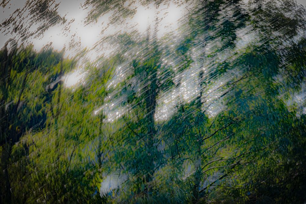 Photograph by Fernando Blanco Armendariz