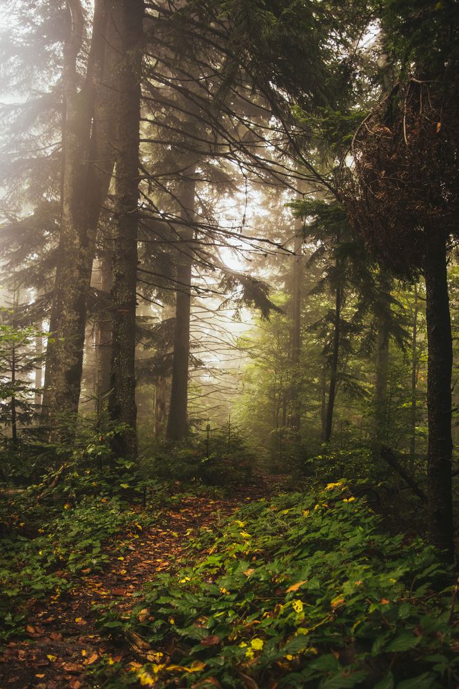 Photograph by Кристина Оксенюк