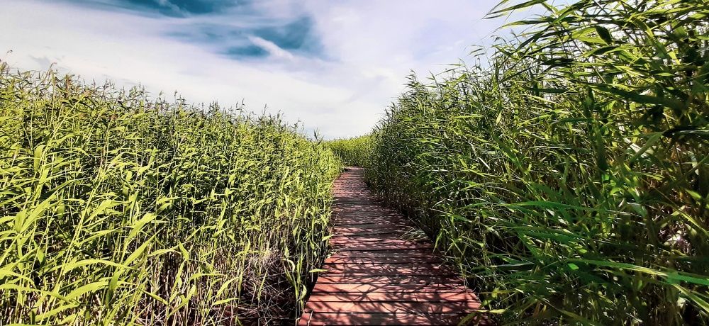 Фотография автора Valerya Vasileva