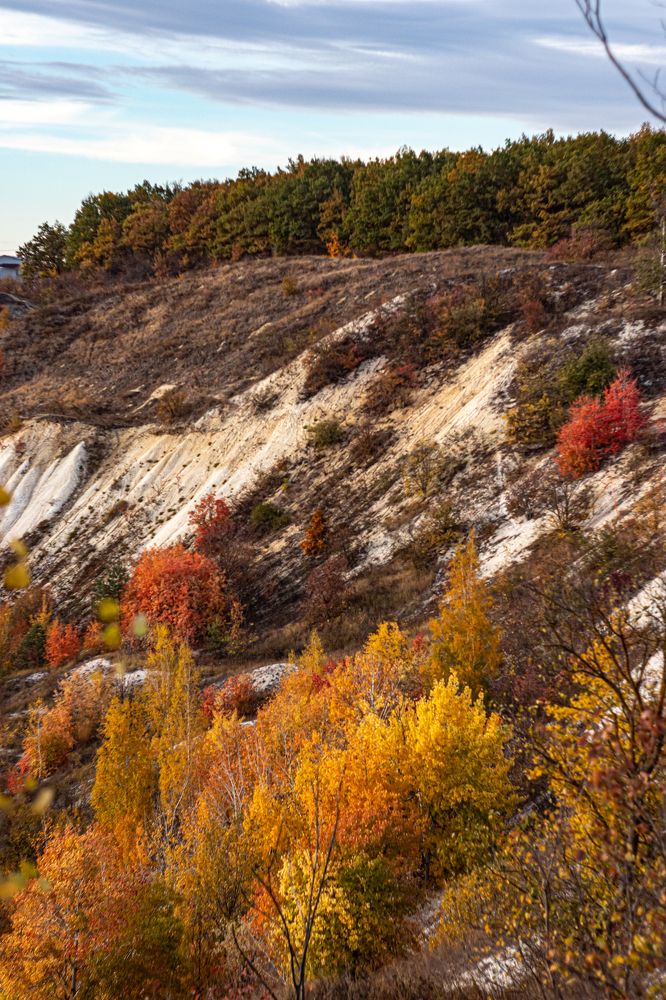 Photograph by Дмитрий Давидов