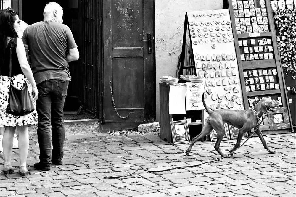 Photograph by Catalin Braga