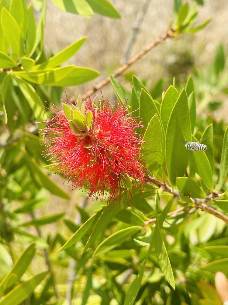 Photograph by Мария