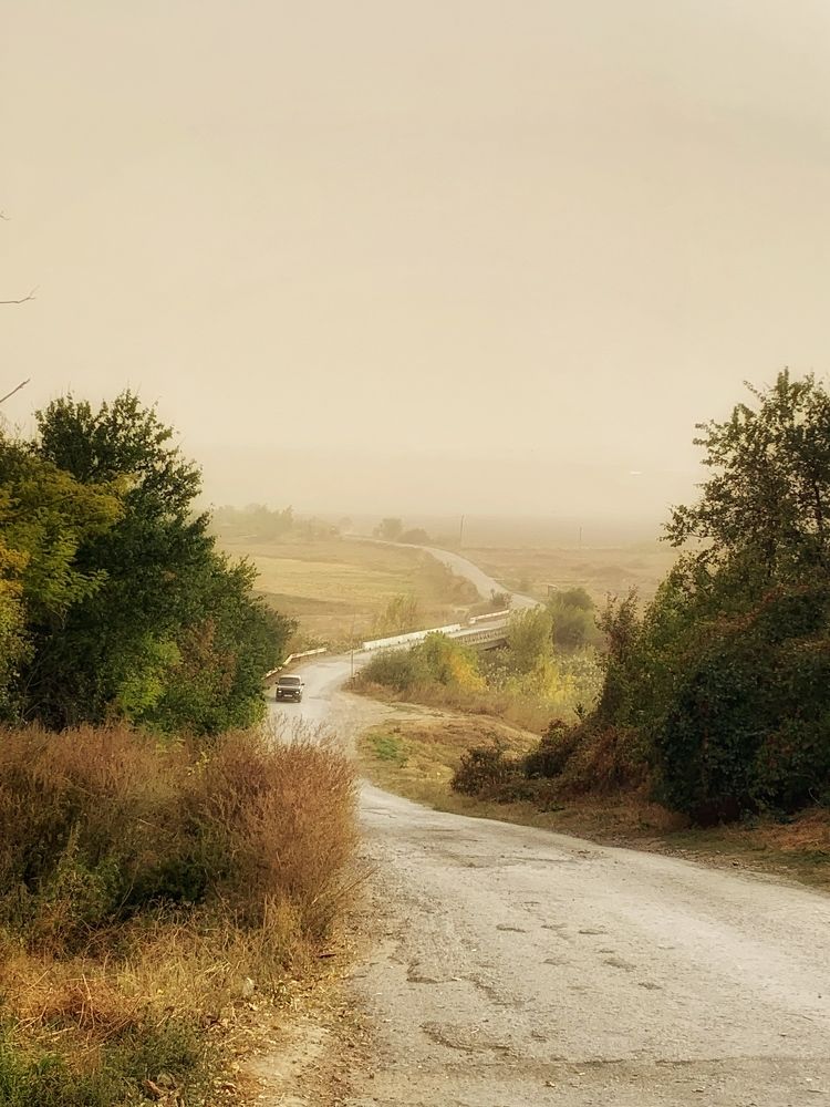 Сельская дорога