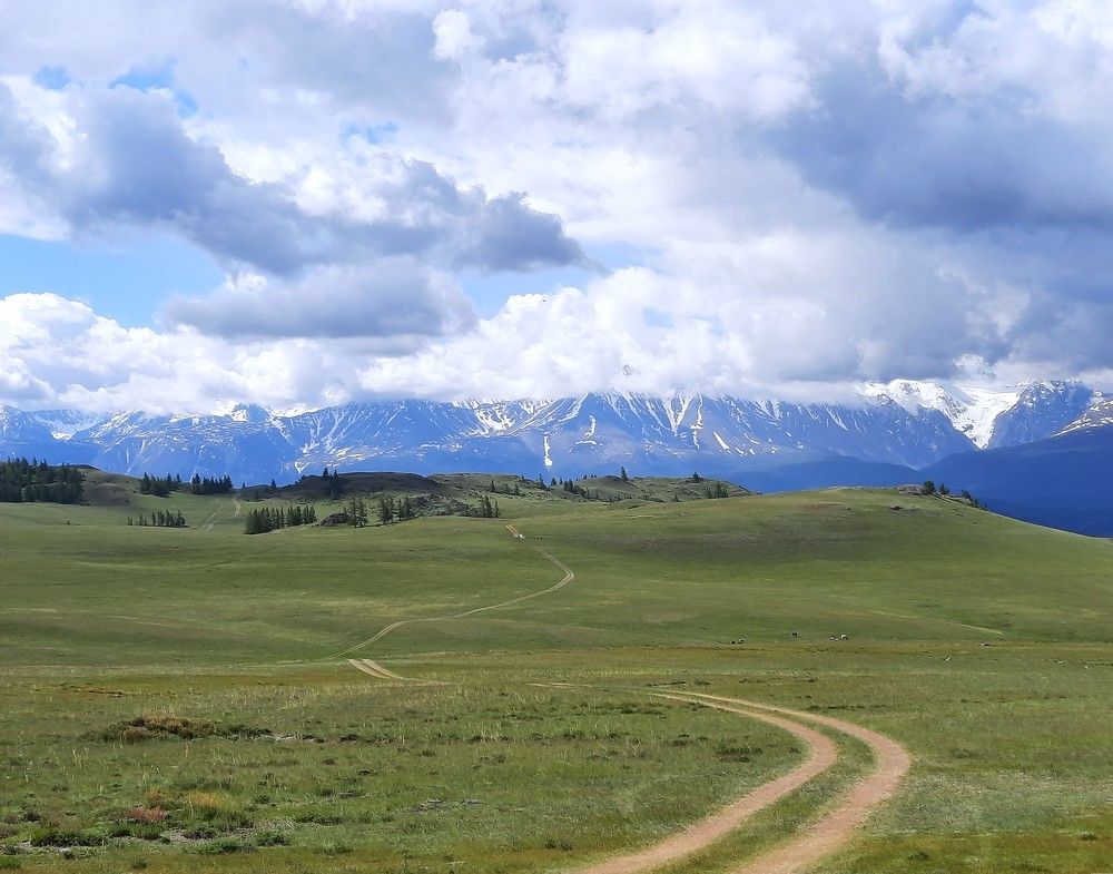 Фотография автора Елена Пикатова