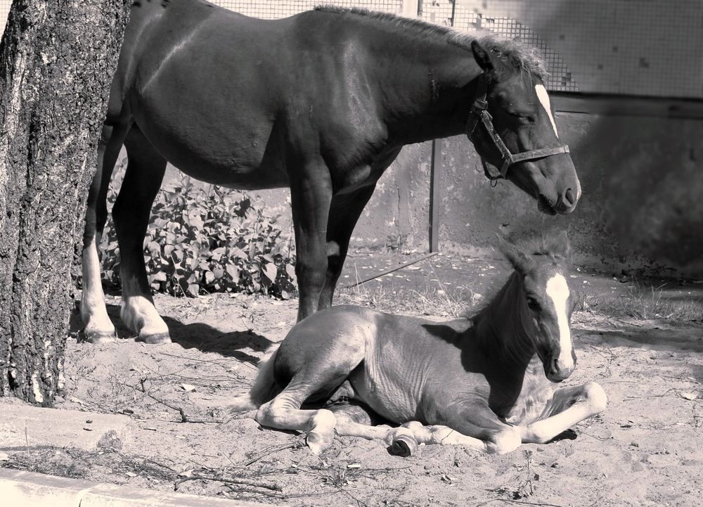 Photograph by Светлана Логинова