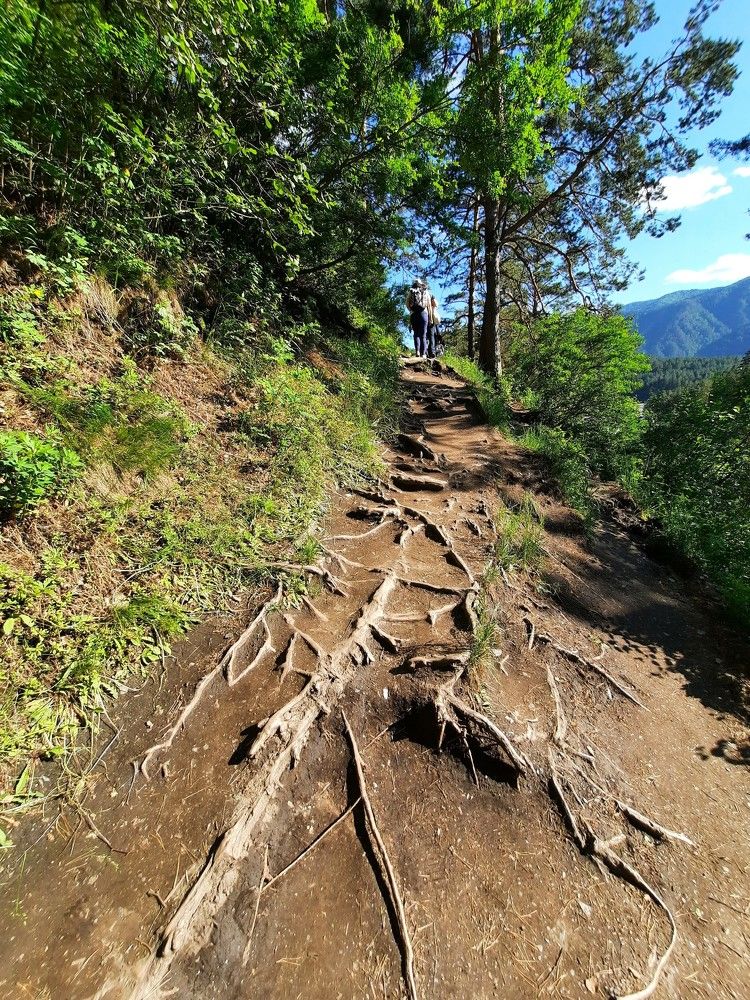 Фотография автора Елена Пикатова