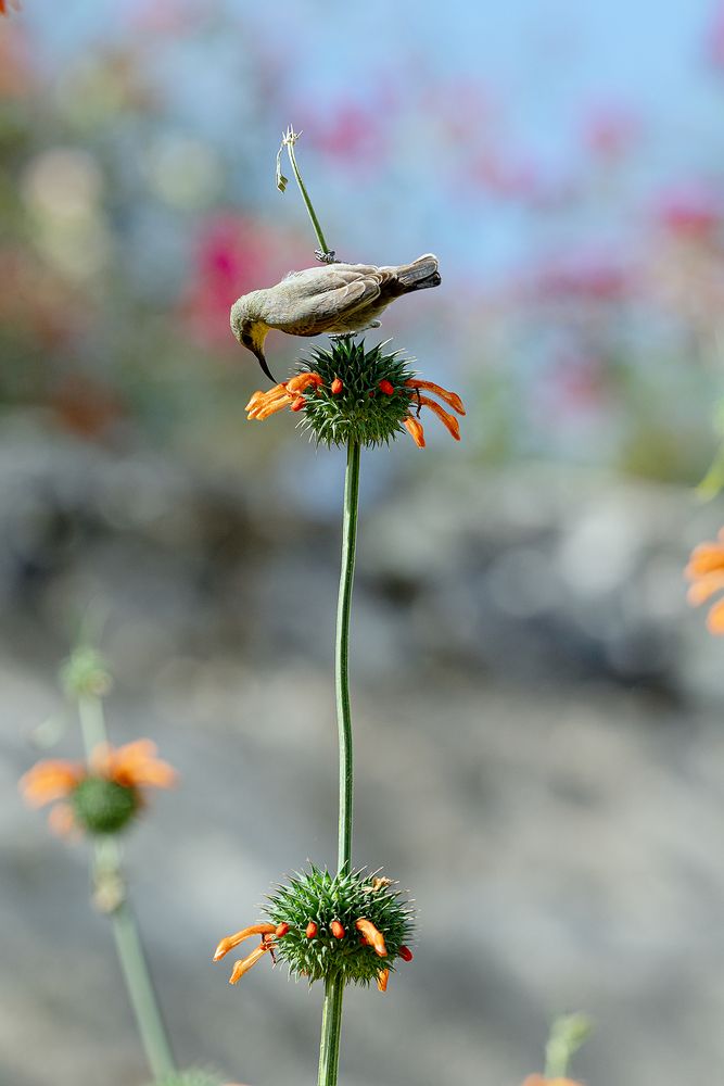 Photograph by Oxana Berezovskaya