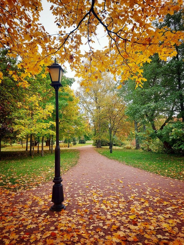 Photograph by Елена Кирикова