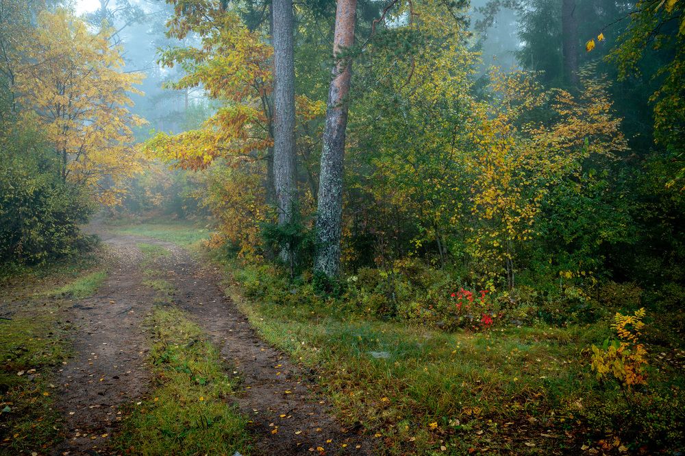 Фотография автора Васильев Андрей