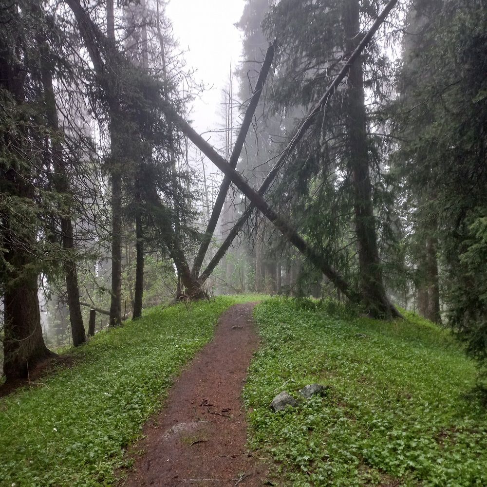 Photograph by Андрей