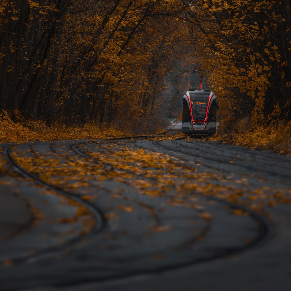 Photograph by Антон Шваин