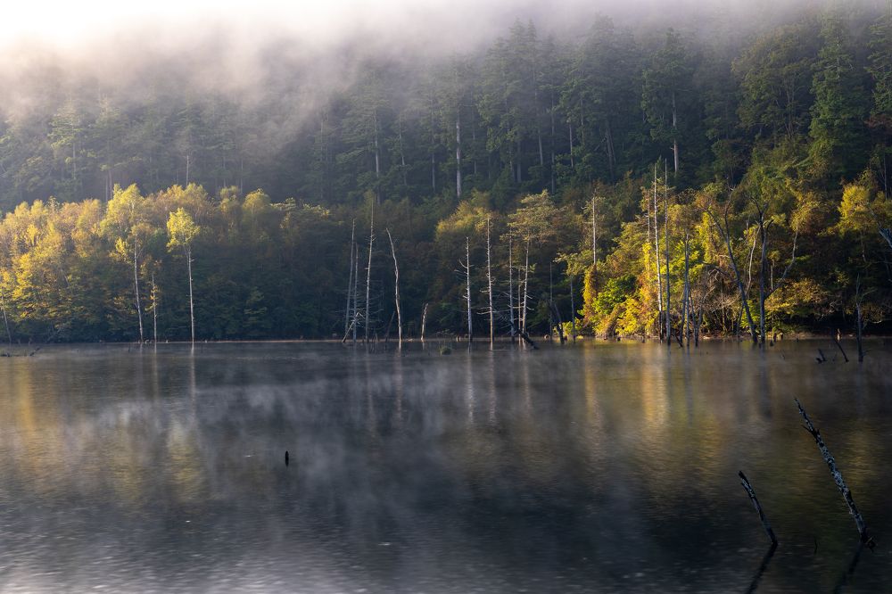 Photograph by NAGUMO SHUTO