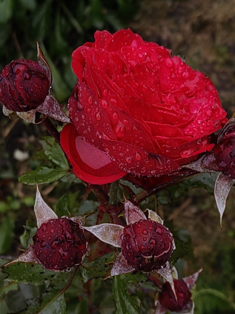 Photograph by Елена Есипова