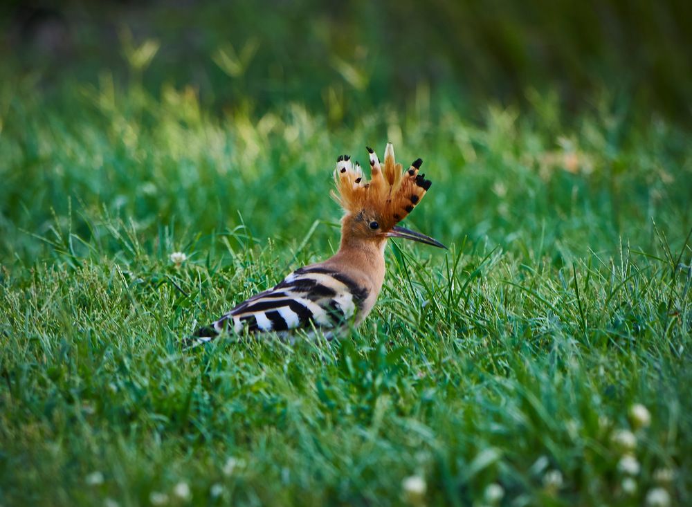 Фотография автора David Solodar