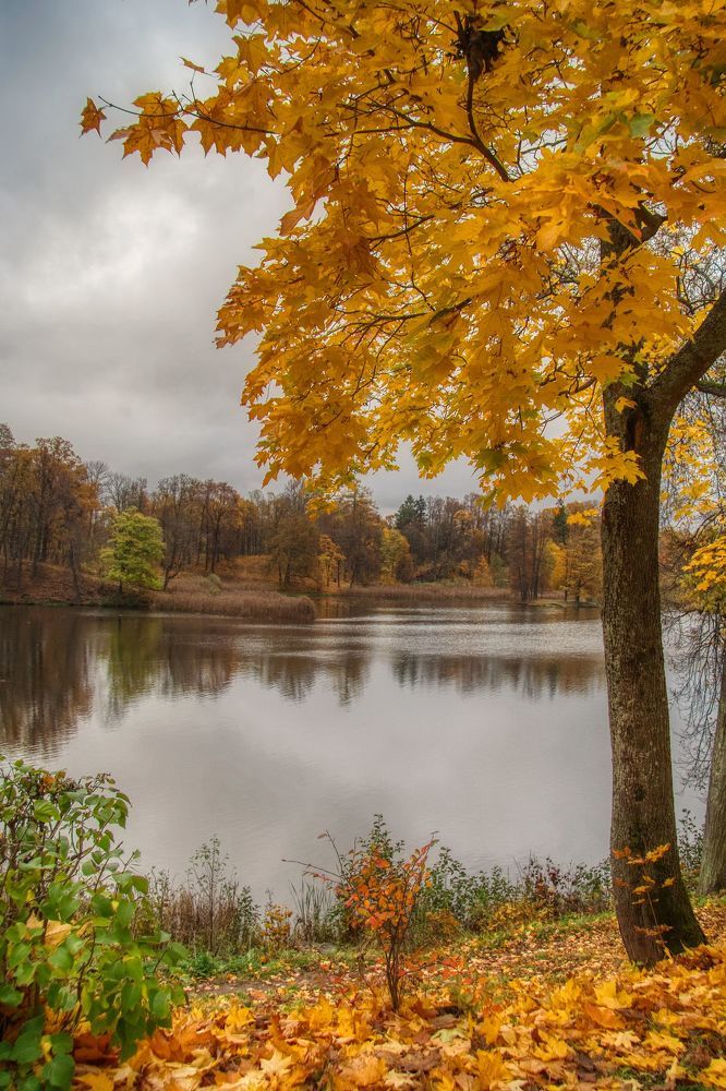 Photograph by Александр К