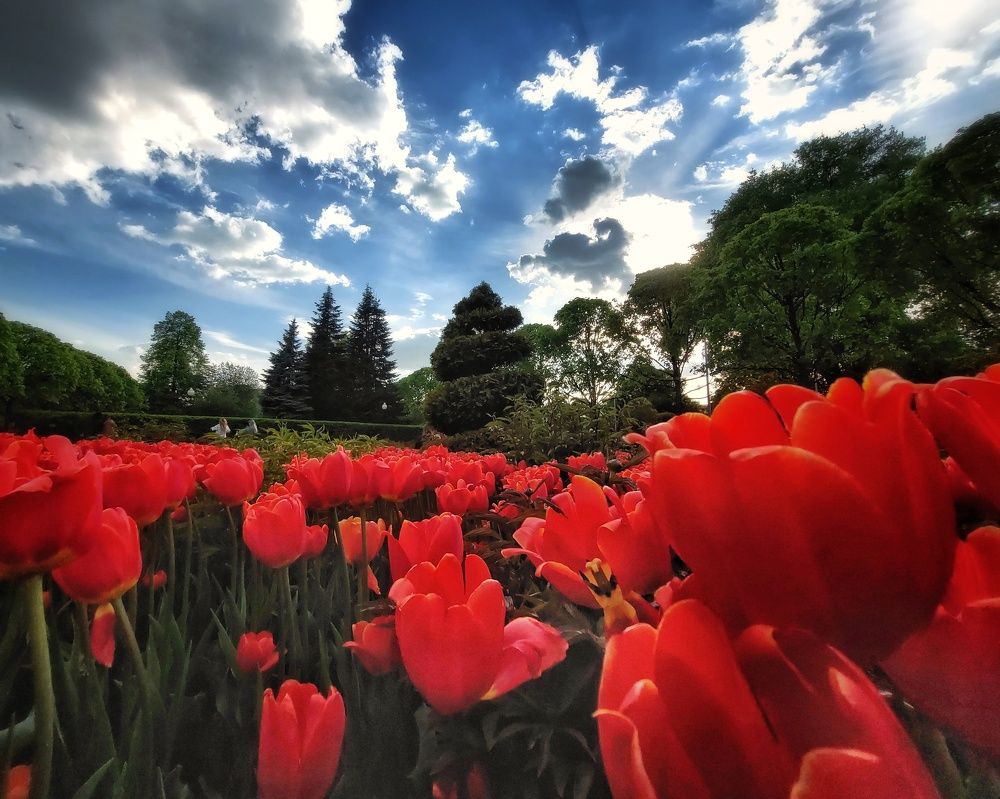 Photograph by Сергей Малашкин