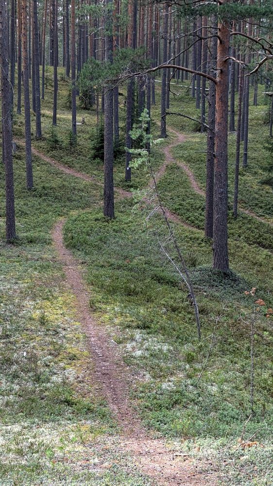 Photograph by Андрей Сварга