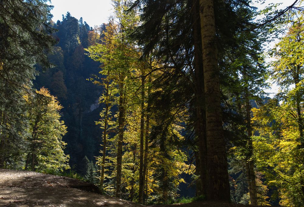 Photograph by Владимир