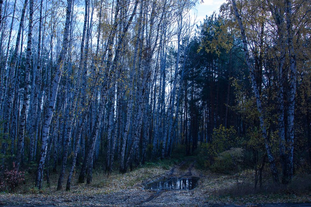 Photograph by Владимир